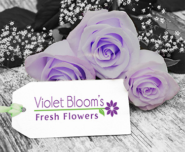 Violet Bloom's Branding